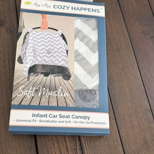 Itzy Ritzy Chevron Gray Car Seat Canopy